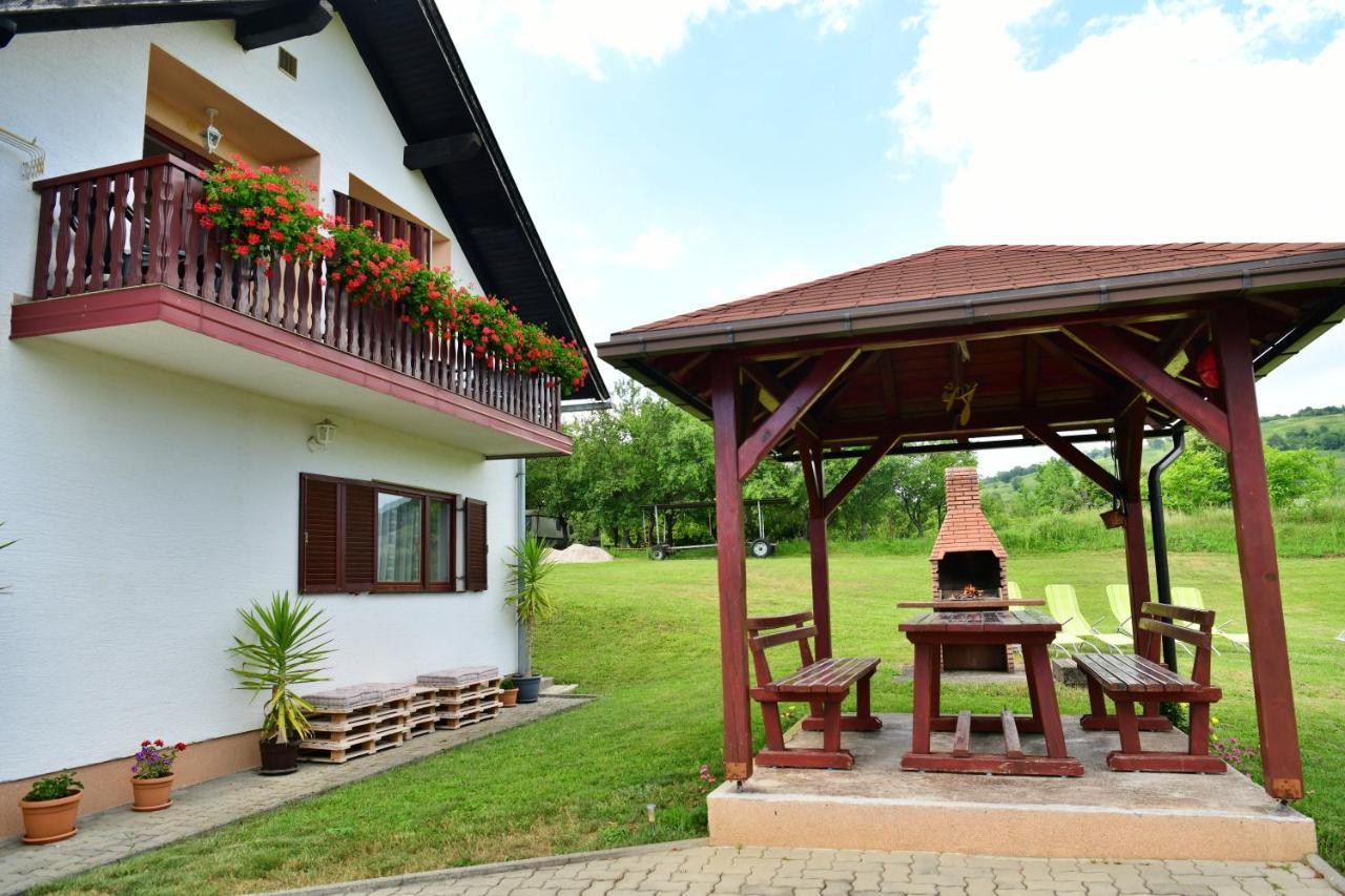 Guesthouse Ante Hodak Seliste Dreznicko Exterior photo