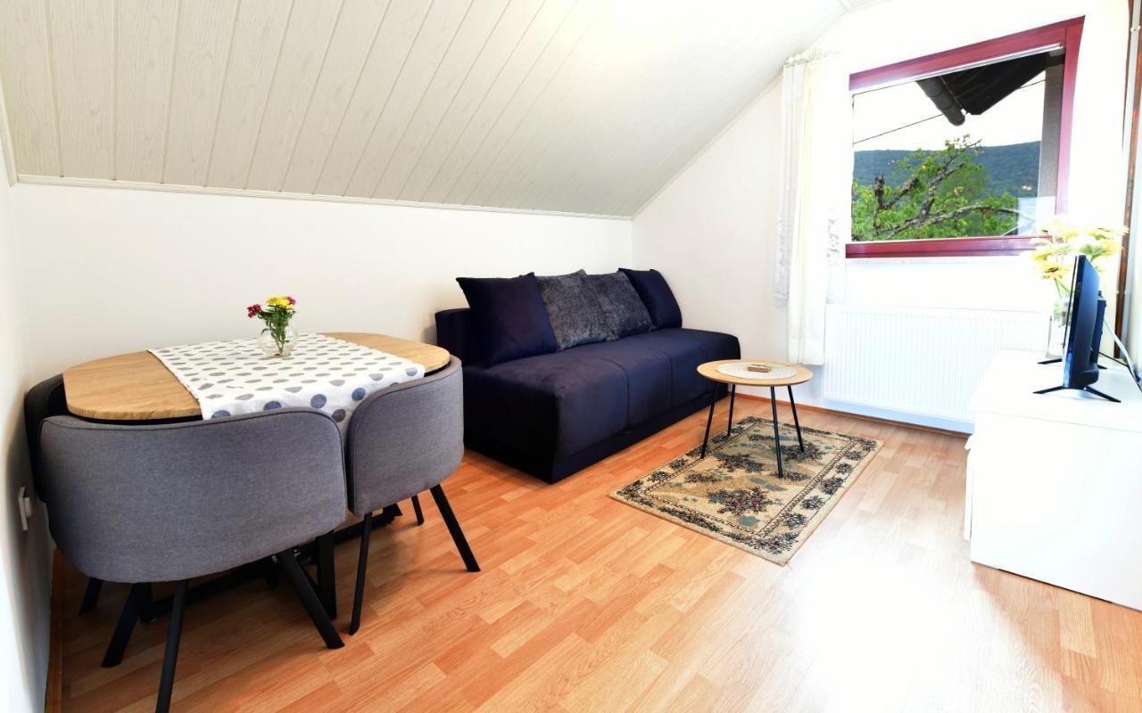 Guesthouse Ante Hodak Seliste Dreznicko Exterior photo